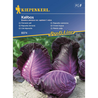 Семена за зеленчуци Kiepenkerl Червено зеле Kalibos