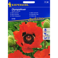 Семена за цветя Kiepenkerl Olympiafeuer Гигантски мак