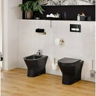 Стояща тоалетна без ръб RAK Ceramics Feeling [3]