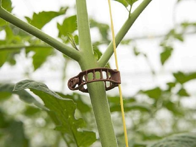 Комплект скоби за връзване на домати и краставици [3]