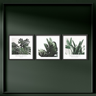Комплект рамкирани картини Plant [9]