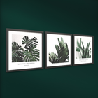 Комплект рамкирани картини Plant [5]