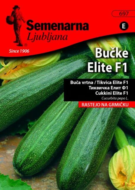 Семена за зеленчуци Semenarna Ljubljana Тиквичка Елит F1 [1]