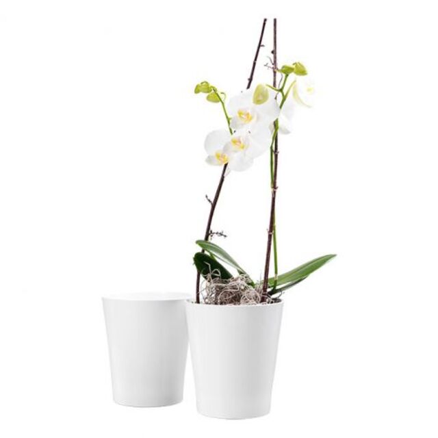 Кашпа за орхидеи Merina [3]