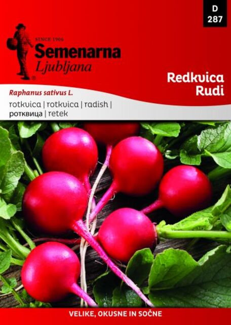 Семена за зеленчуци Semenarna Ljubljana Репички Rudi [1]