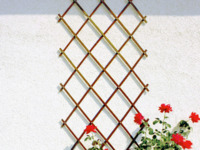 Декоративна дървена решетка за пълзящи растения Ante