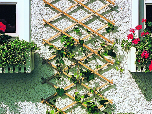 Декоративна дървена решетка за пълзящи растения Ante [3]