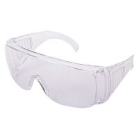 Защитни работни очила Wisent