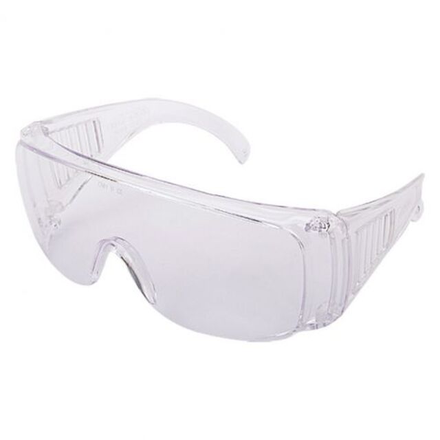 Защитни работни очила Wisent [1]
