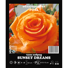 Корен роза Sunset Dream [1]