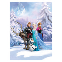 Фототапет Komar Disney Edition 4 Frozen Winter Land