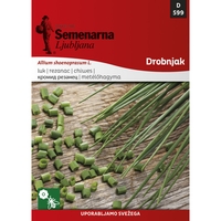 Семена за зеленчуци Semenarna Ljubljana Див лук