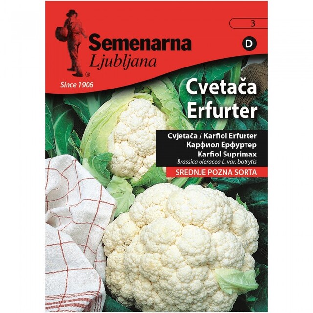 Семена за зеленчуци Semenarna Ljubljana Карфиол Ерфурт [1]