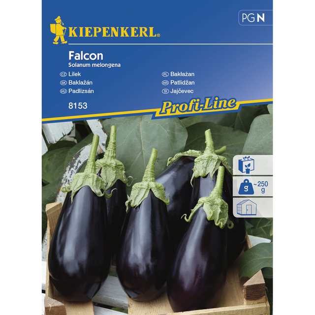 Семена за зеленчуци Kiepenkerl Патладжан Falcon [1]