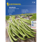 Семена за зеленчуци Kiepenkerl Зелен фасул Modesto [1]