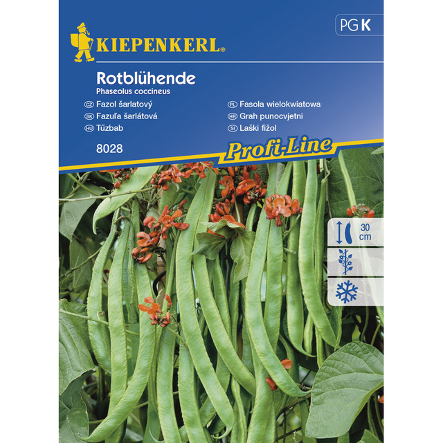 Семена за зеленчуци Kiepenkerl Червен боб [1]