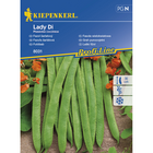 Семена за зеленчуци Kiepenkerl Зелен фасул Lady Di [1]