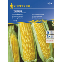 Семена за зеленчуци Kiepenkerl Сладка царевица Tatonka