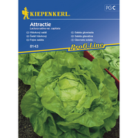 Семена за зеленчуци Kiepenkerl Копфсалата Attractie