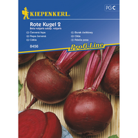 Семена за зеленчуци Kiepenkerl Червено цвекло Rote Kugel