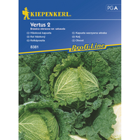 Семена за зеленчуци Kiepenkerl Зеле Vertus 2