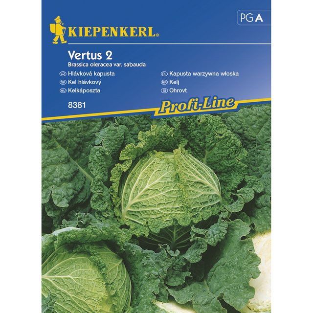 Семена за зеленчуци Kiepenkerl Зеле Vertus 2 [1]