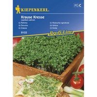 Семена за зеленчуци Kiepenkerl Кресон Krause
