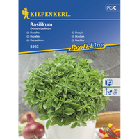 Семена за билки и подправки Kiepenkerl Босилек