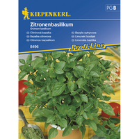 Семена за билки и подправки Kiepenkerl Босилек Zitronenbasilikum