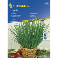 Семена за зеленчуци Kiepenkerl Див лук Nelly