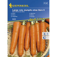 Семена за зеленчуци Kiepenkerl Моркови Lange