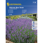 Семена за цветя Kiepenkerl Лавандула Hidcote Blue Strain [1]