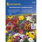 Семена за цветя Kiepenkerl Американски диви цветя  [1]