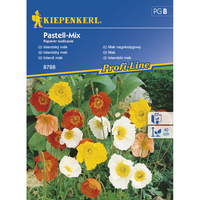 Семена за цветя Kiepenkerl Исландски мак