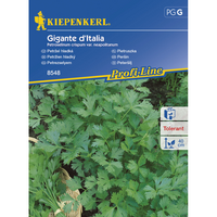 Семена за билки и подправки Kiepenkerl Магданоз Gigante d'Italia