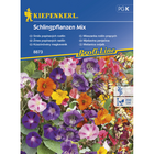 Семена за цветя Kiepenkerl Катерливи цветя [1]