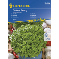 Семена за билки и подправки Kiepenkerl Босилек Grüner Zwerg