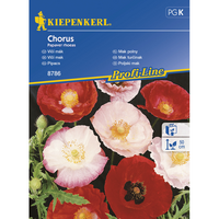 Семена за цветя Kiepenkerl Мак Chorus