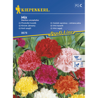 Семена за цветя Kiepenkerl Градински Карамфил 