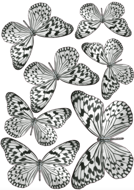 Декоративни стикери Plage 3D Пеперуди [2]