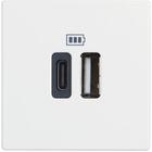 USB розетка и зареждане Bticino Classia RW4287C2 [1]
