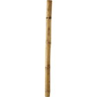 Бамбуково колче [1]