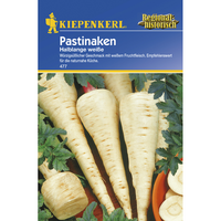Семена за зеленчуци Kiepenkerl Пащърнак Halblange