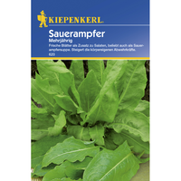 Семена за зеленчуци Kiepenkerl Киселец