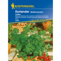 Семена за билки и подправки Kiepenkerl Кориандър Caribe